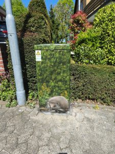 IMG_20260429_133732 1